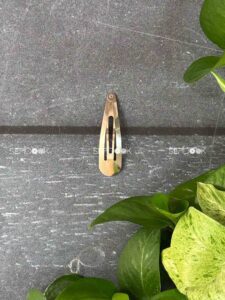 گیره تق تقی ماهی (5.5  سانتی)