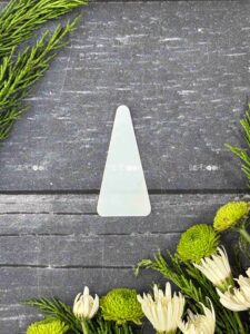 پروتز مثلثی