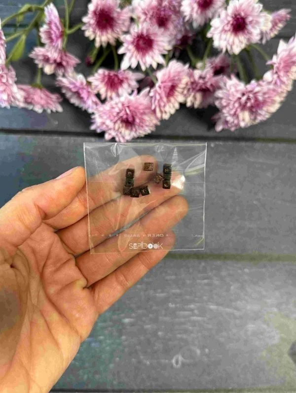 مهره های تزیینی چوبی کد 241