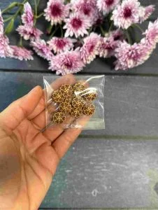 مهره های تزیینی چوبی کد 244