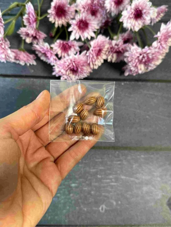 مهره های تزیینی چوبی کد 245