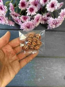 مهره های تزیینی چوبی کد 259