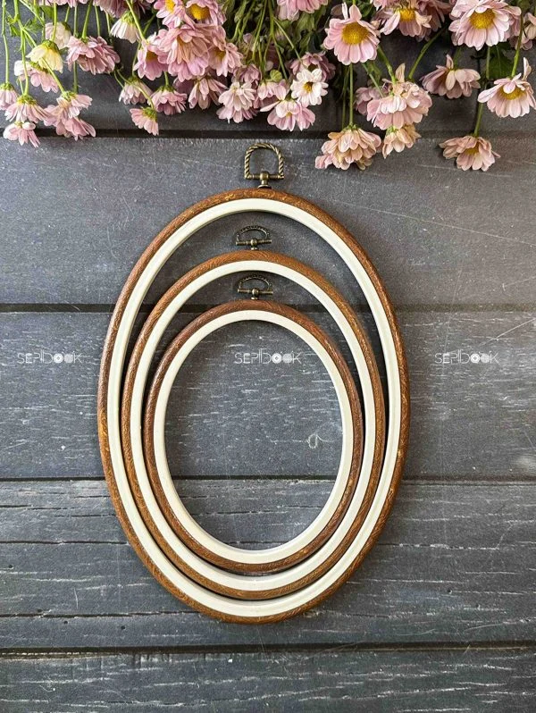 کارگاه ژله ای بیضی