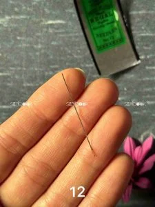 سوزن رگال شماره 12