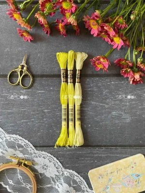 نخ کتان(دمسه و پنگوئن)