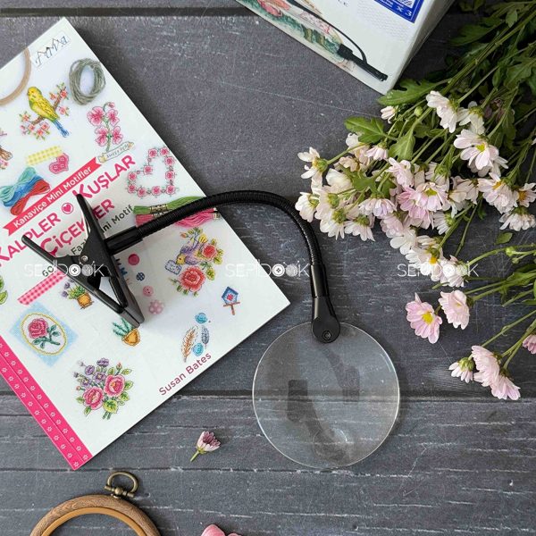 ذره بین دمسه