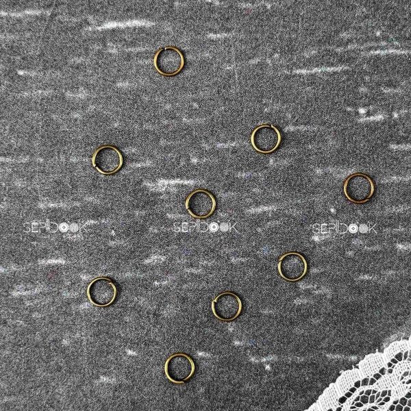 حلقه اتصال (برنزی)