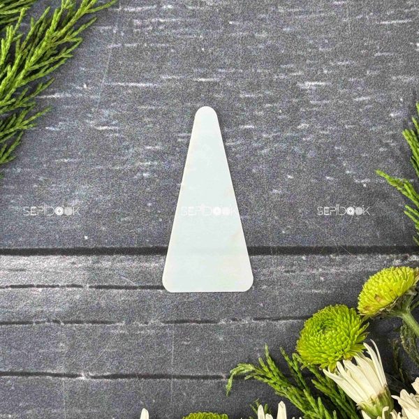 پروتز مثلثی