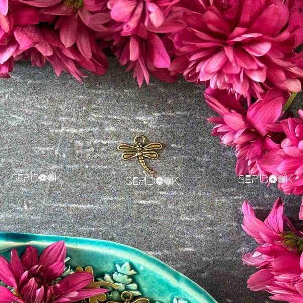 خرجکار سنجاقک برنزی