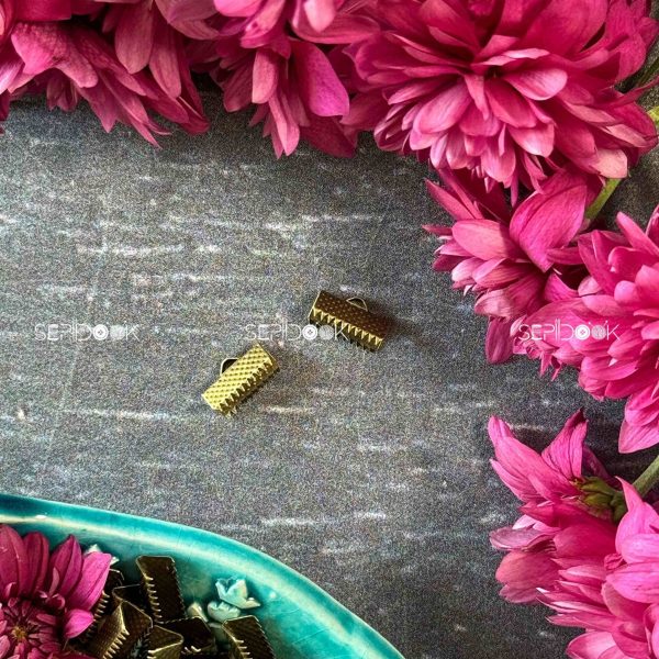 گازگیر (برنزی)